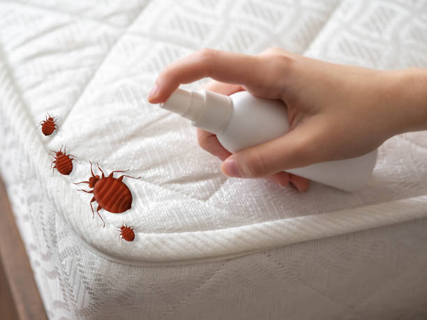 Best Bed Bug Extermination  in Morganville, NJ